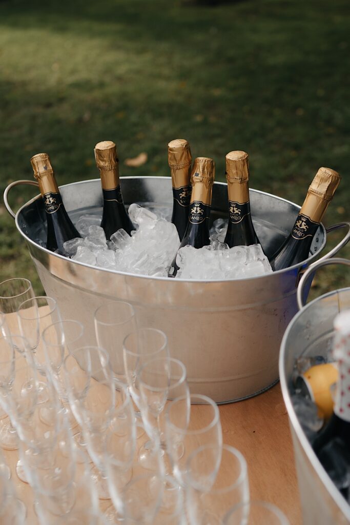 Fitzroy Gardens Pinnacle Wedding 007_champagne at the circle of trees Edinburgh Gardens Fitzroy