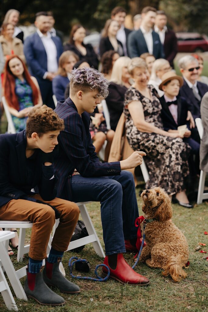 035_dog ring bearer at wedding ceremony in fitzroy gardens