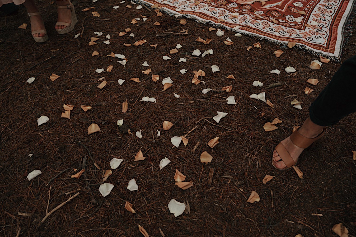 34_Flinders Elopement Mornington Peninsula Wedding