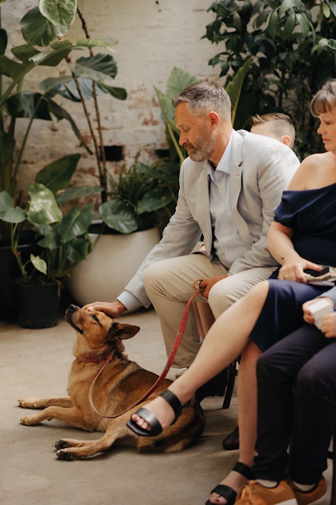 Red Heeler dog named Lentil getting a pat during Glasshaus Inside wedding